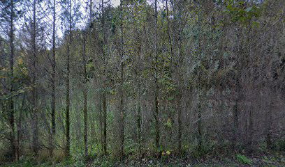 Područna škola Grdanjci