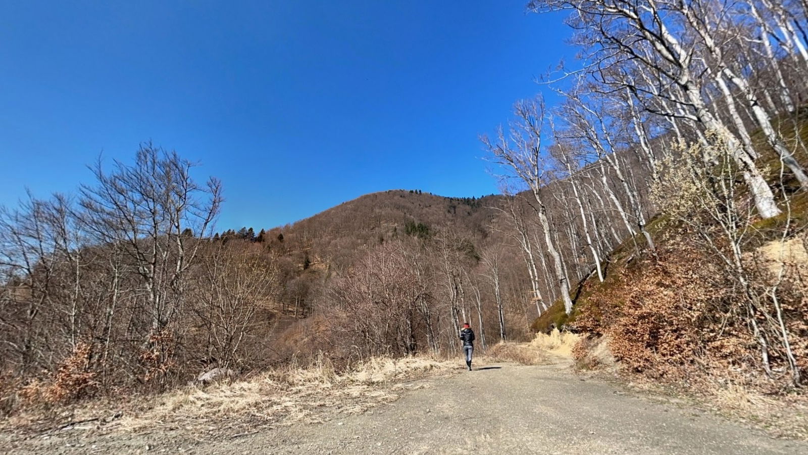 Potok pod Plešivcem