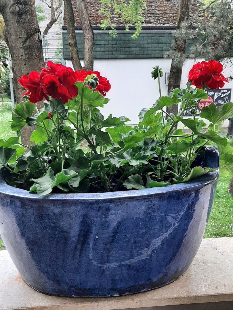 Poljocentar Varazdin