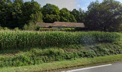 Transport, Dragiša Đunović s.p.