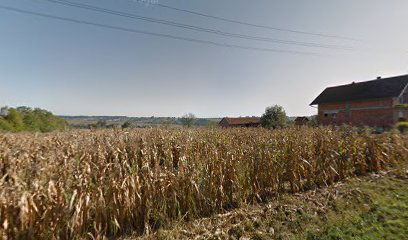 STRELJAČKI KLUB BRINJANI