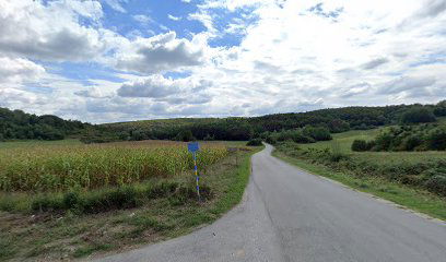 Dubranec,put za Gust