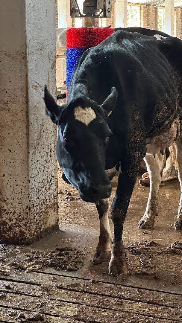 Farma Ivan Milutinovic