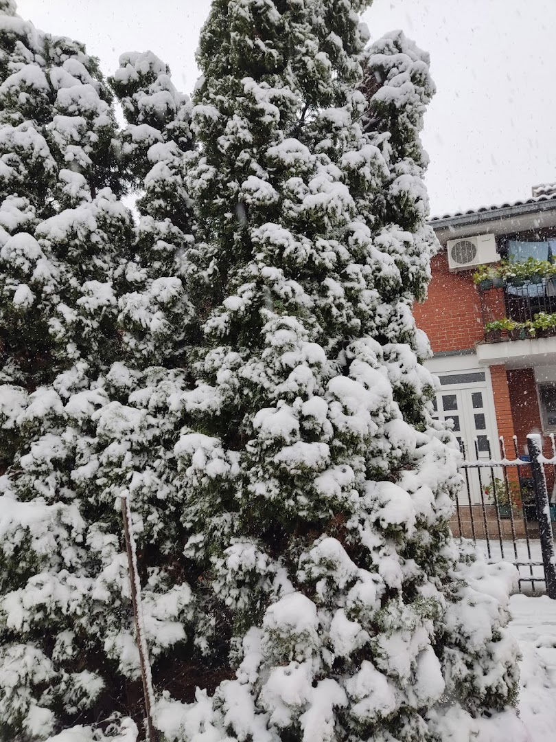 Мала пијаца „Ново насеље - Бојчинска“