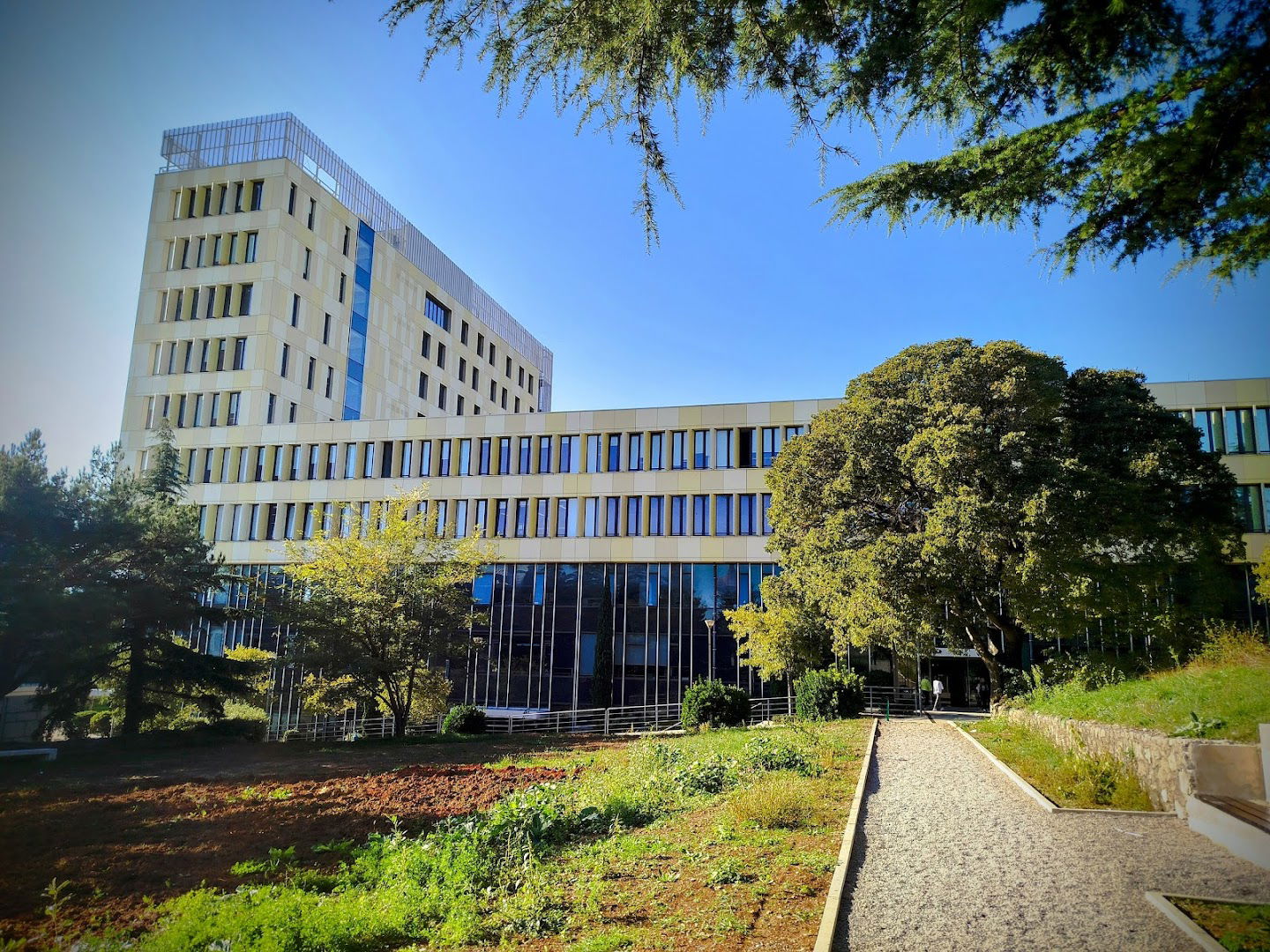 Faculty of Humanities and Social Sciences
