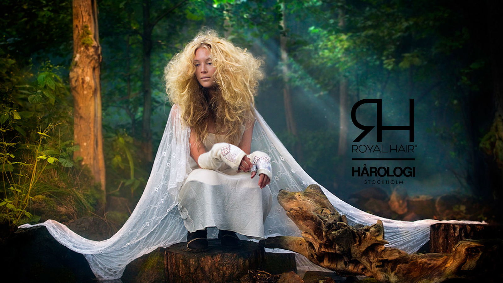 HAROLOGI Royal Hair, Frizerski studio, Tanja Bolčina s.p.