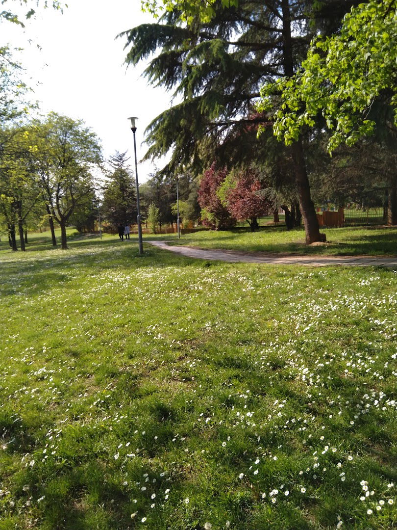 Primary School United Nations