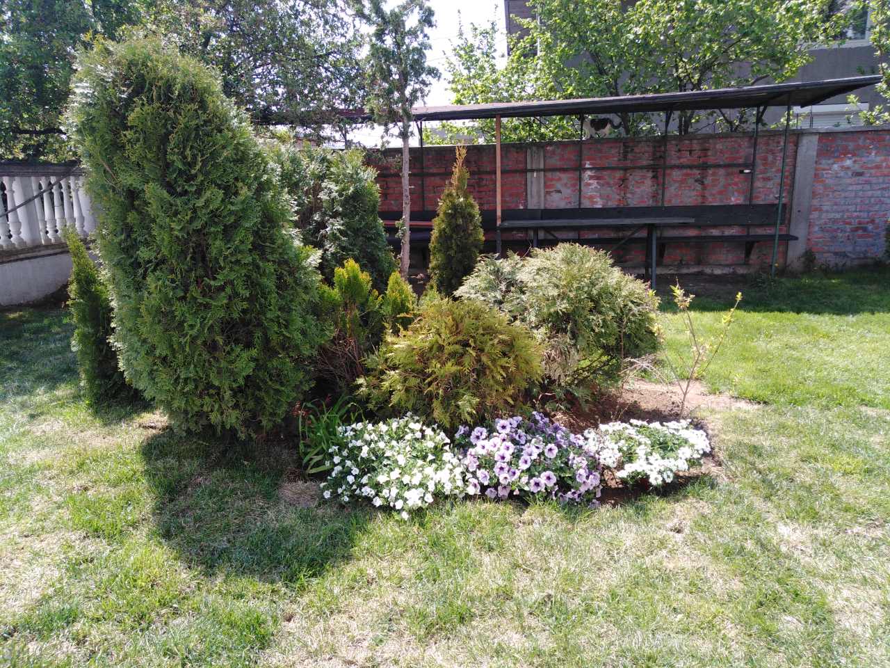 Nursing home for elderly Sveti Trifun