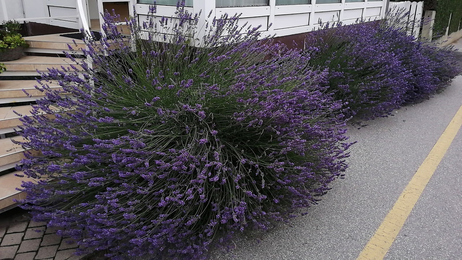 Frizerski studio Marijana