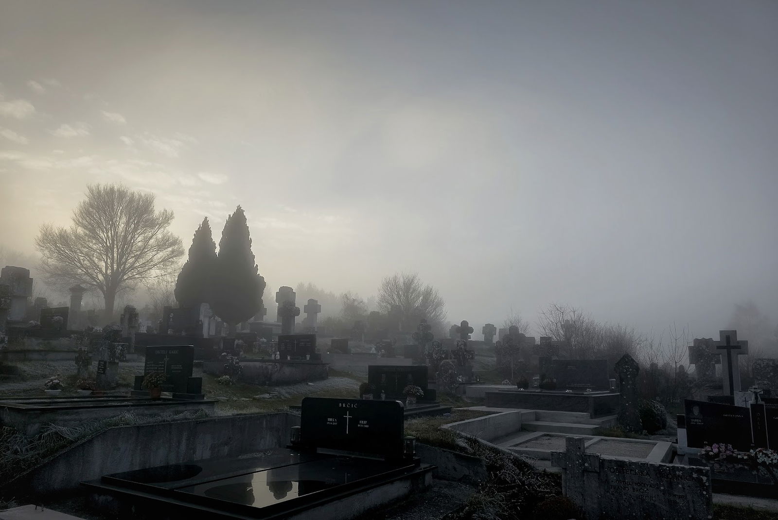 Groblje Sv. Petra, Rapovine