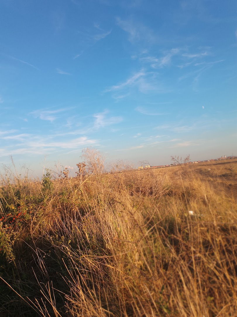 Poljski put Batajnica-Pazova