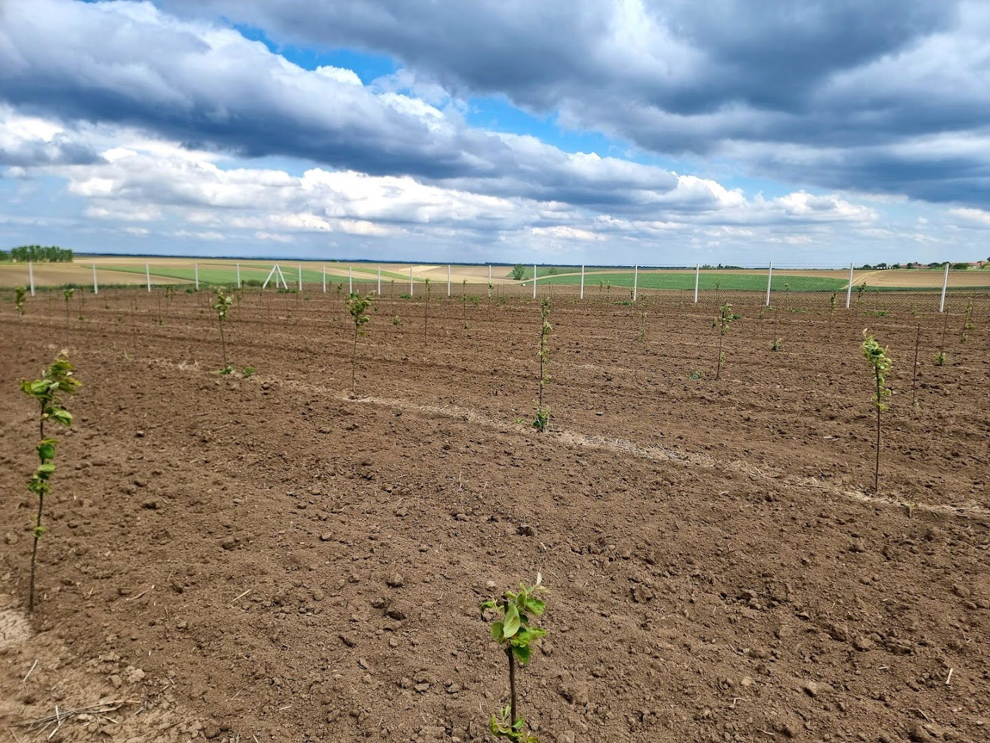 ZEMLJORADNIČKA ZADRUGA FARMPRO Mali Radinci