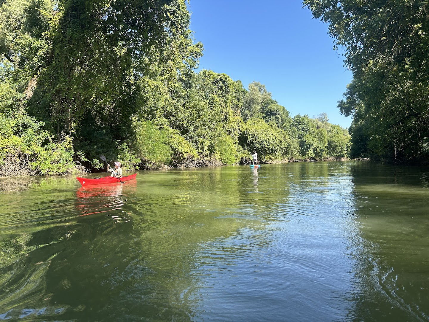 Veslački Klub „Tamiš”