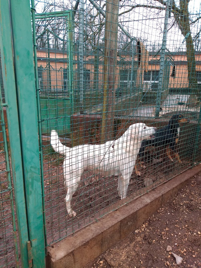 Astad Animal Shelter