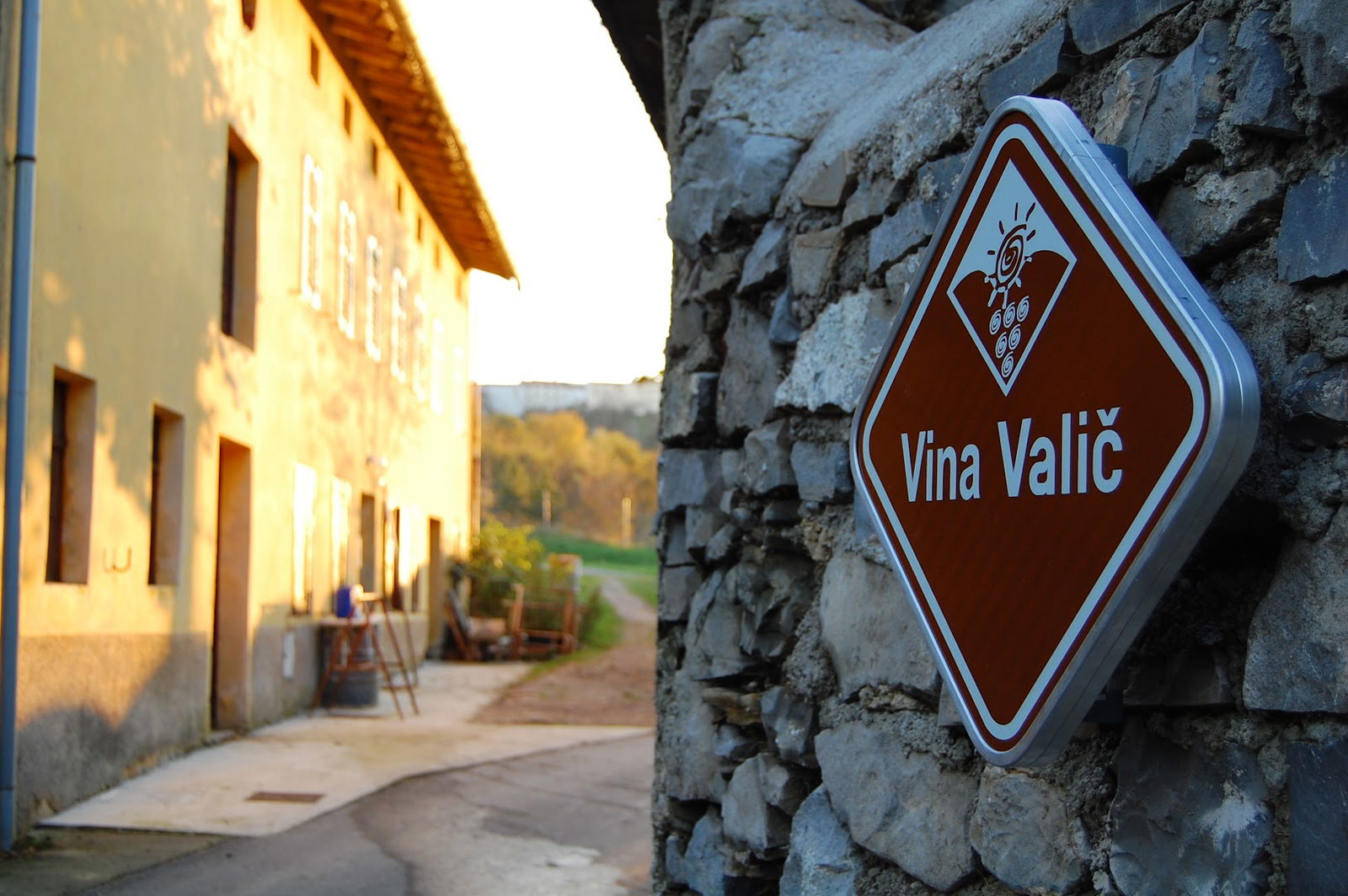 Vina Valič