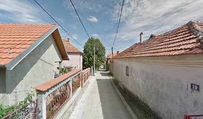 Auto prevoznik Trsa-SD