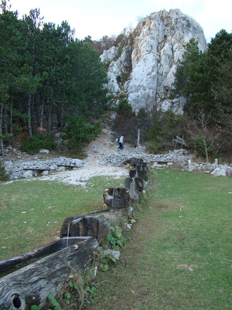 Hiking Trail "Brgučka korita" - Nature Park "Učka"