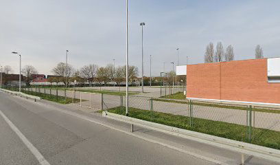 Kozari Bronx Olympic Stadium