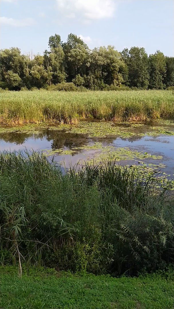 Lovački dom Čambina