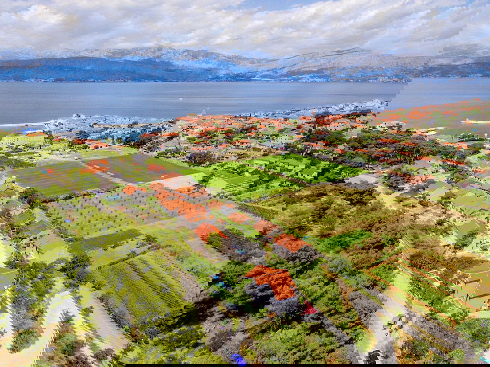 Apartments Blue Oasis