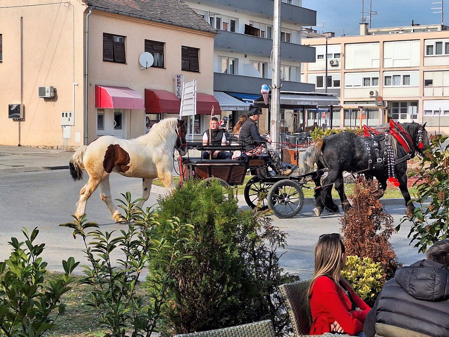 MESNICA FRANJO BINGULA