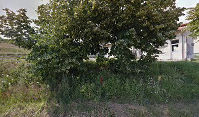 Свечана сала Губеревац