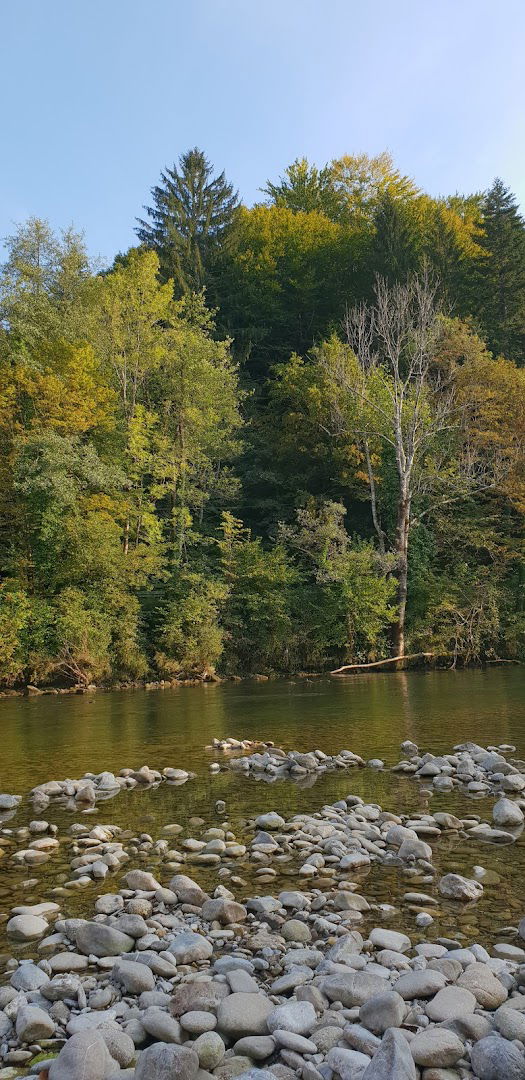 Čebelarstvo in predelava lesa, Žarko Šnajdar s.p.