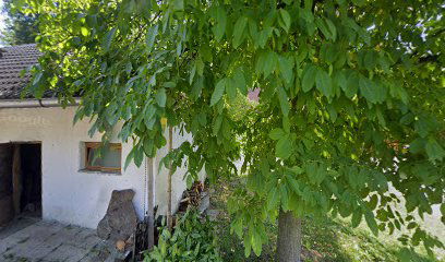 Vrtec Rogatec, Oddelek Dobovec