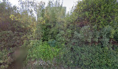 Apartmani Vista Preko