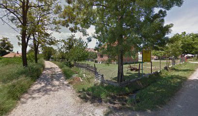 Čedomira Nikolića - Gajina