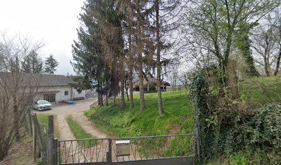 HILL's Diamonds - Hotel za pse Zagreb i uzgajivačnica crnih ruskih terijera i ruskih toy terijera