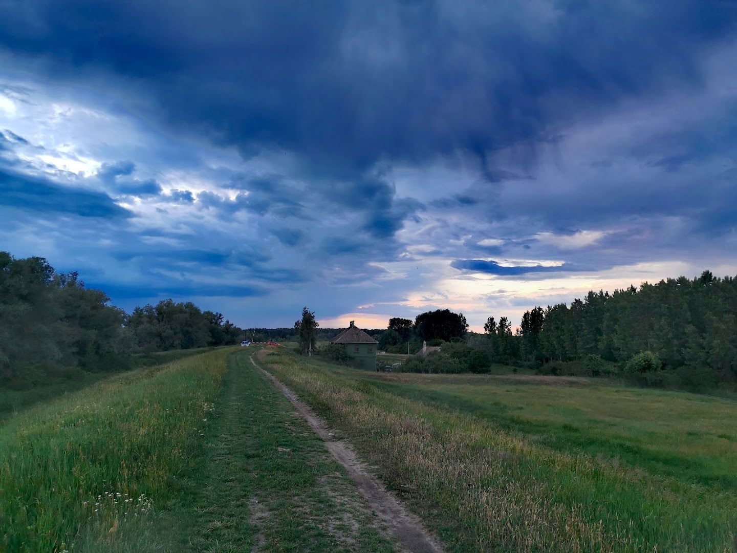 Dog Shelter - Kovilovo