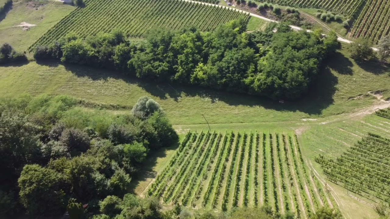 Vino Graben posestvo v Repnicah