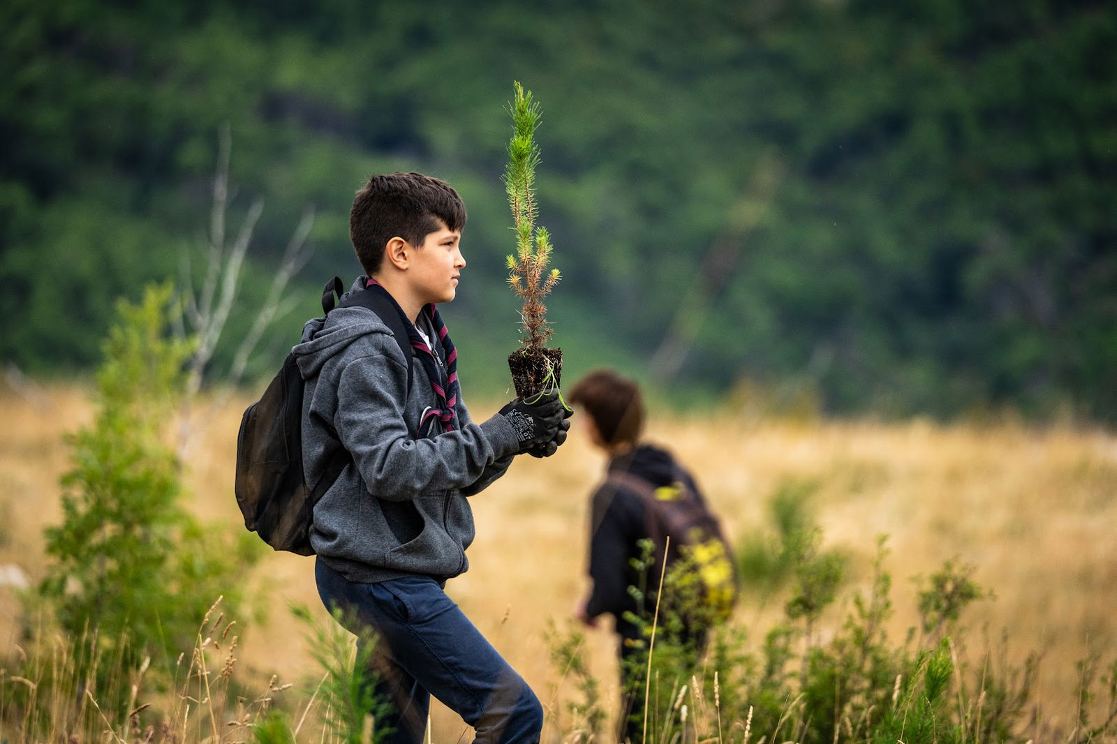 Savez izviđača Hrvatske