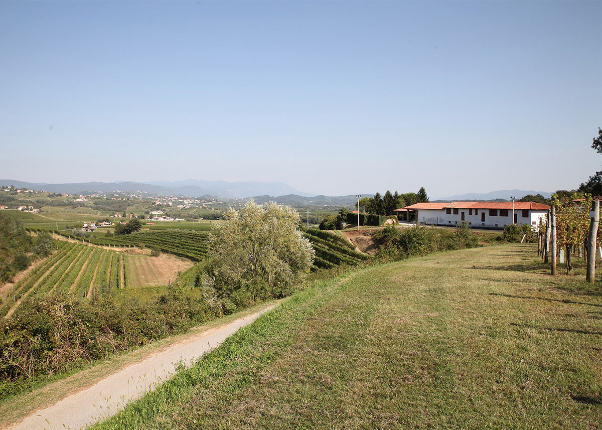 Soc. Agricola Kurtin