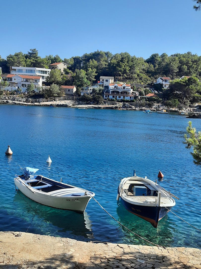 Apartments Basina 8749