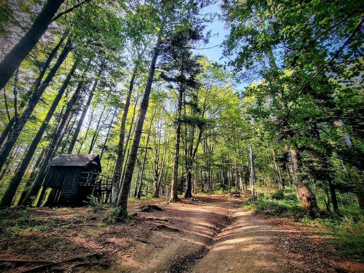 Park prirode Medvednica