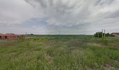 Andreje Damjanovića