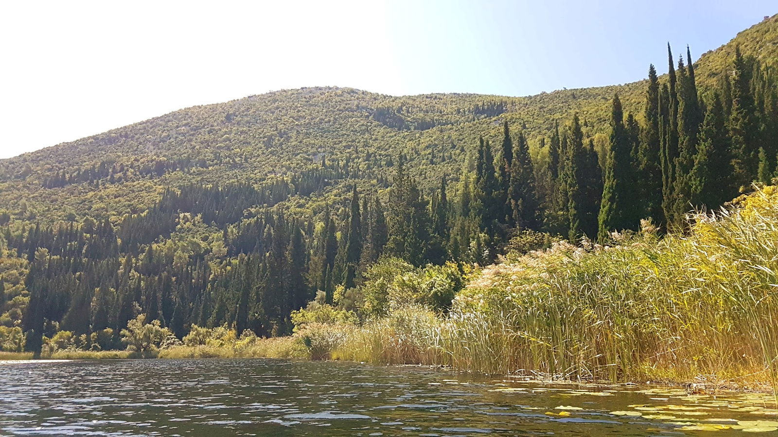 Life and Ventures kayaking tour