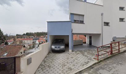 TAXI 3449, VLASNIK DAVOR ARAPOVIĆ