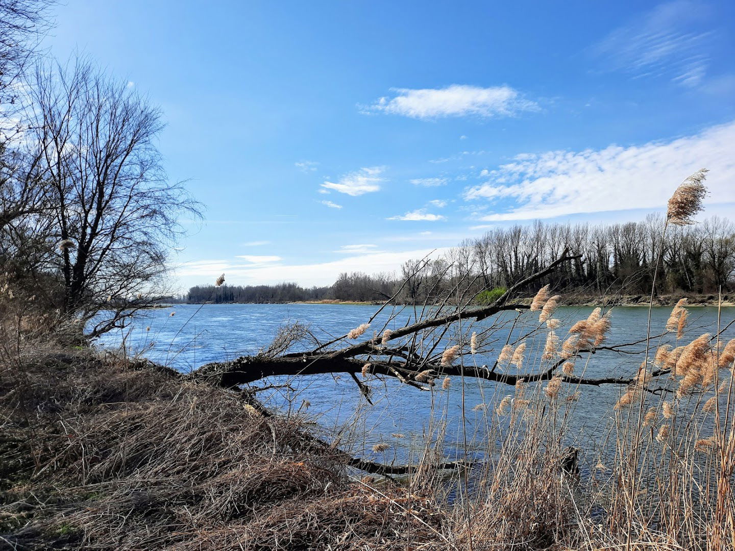 Dráva-ártér tanösvény