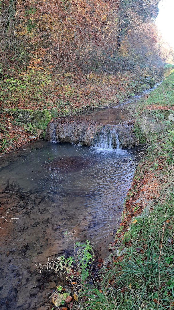 Poučna – eko staza „Kroz Zelinsku goru“ - start