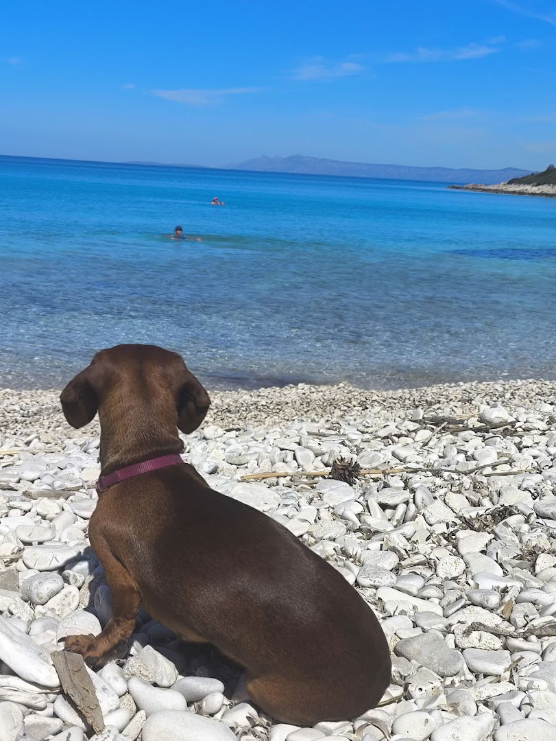 Nisha d.o.o villa Perna