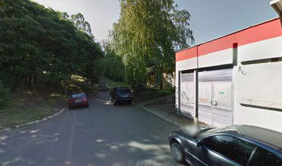 Para tekvondo klub "TIGRA"