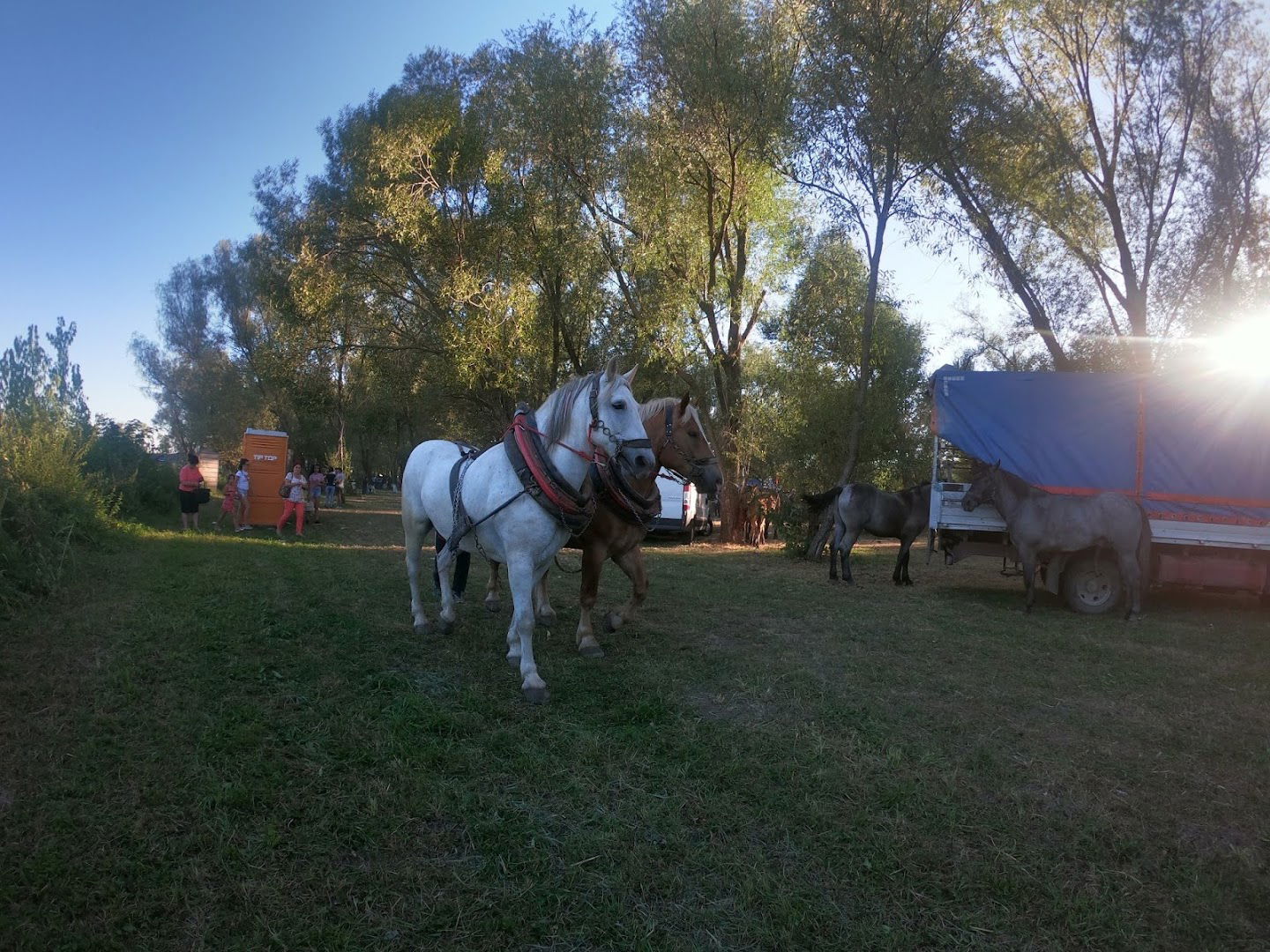 Straparijada Zarkovac