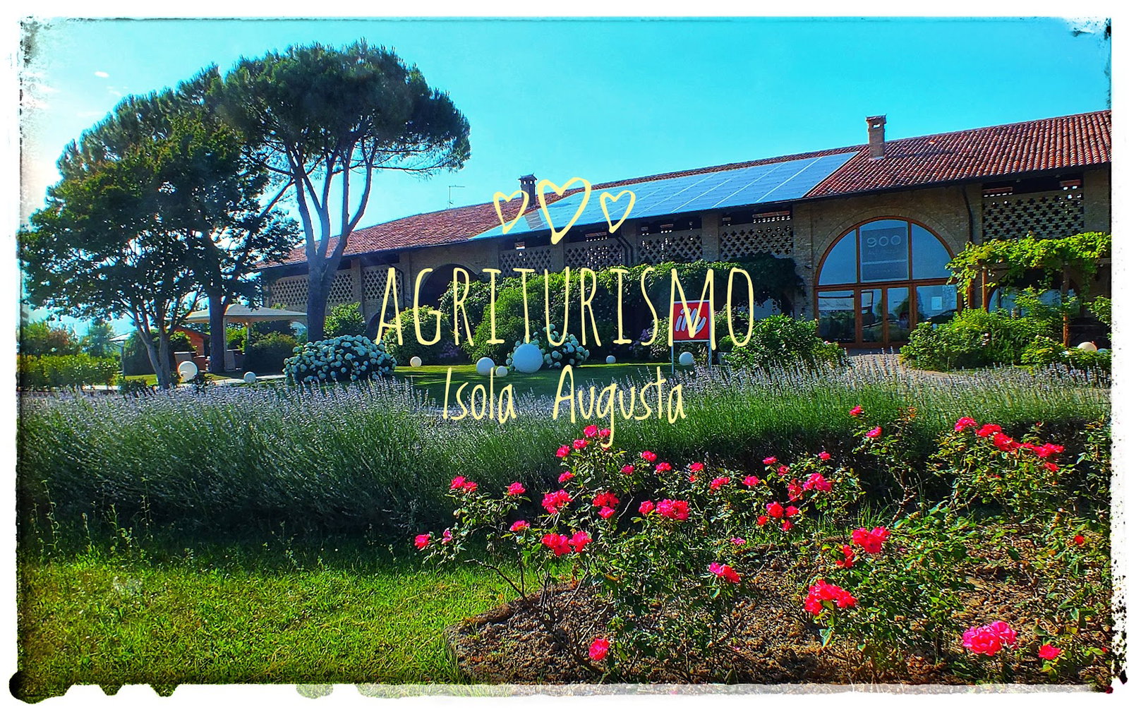Azienda Agricola "Isola Augusta"