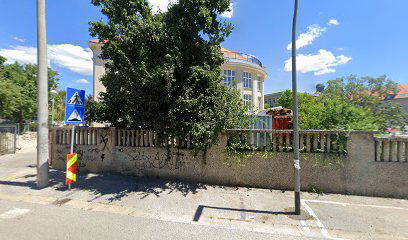 Department of Pathology