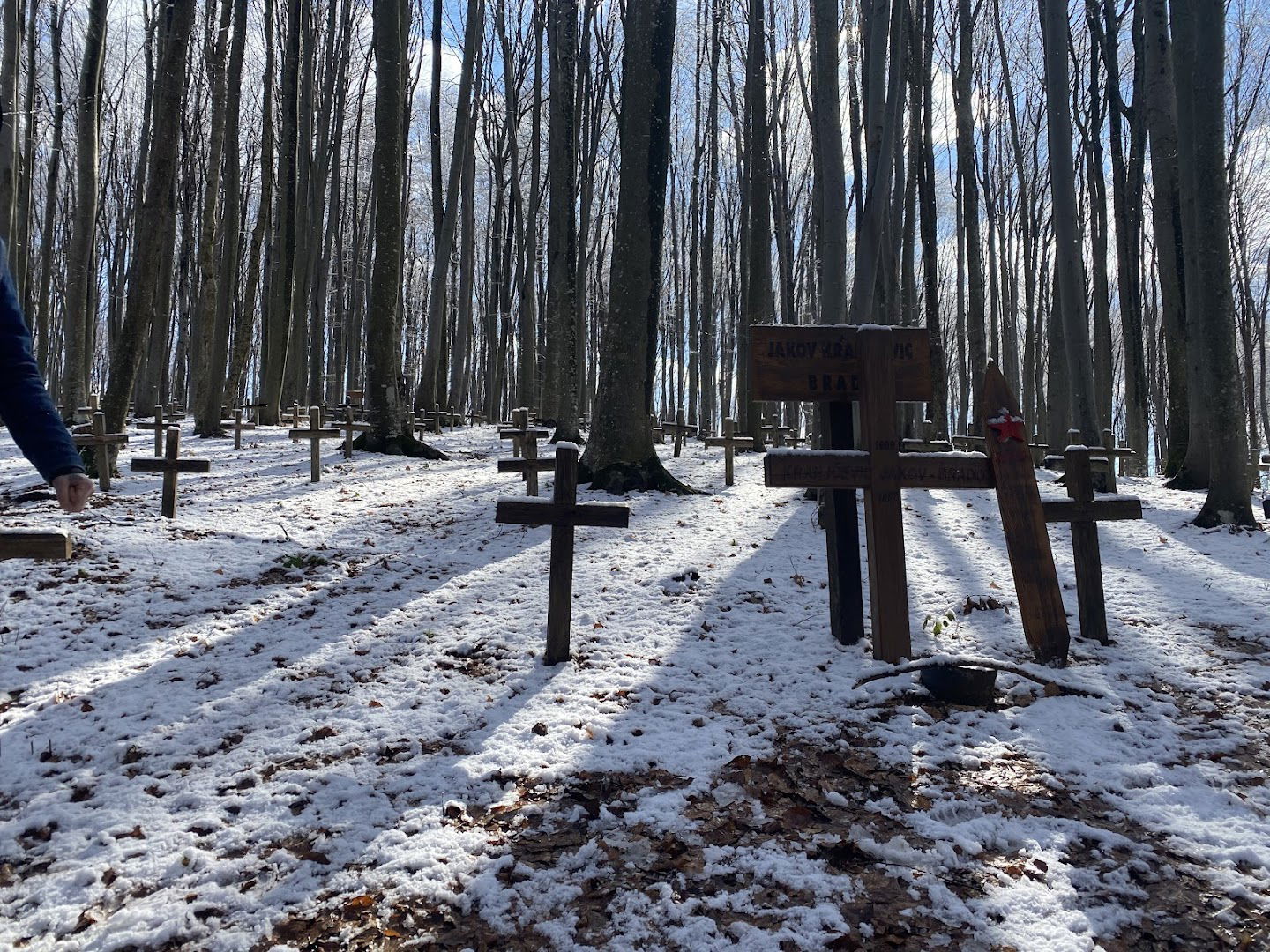Petrova Gora cemetery
