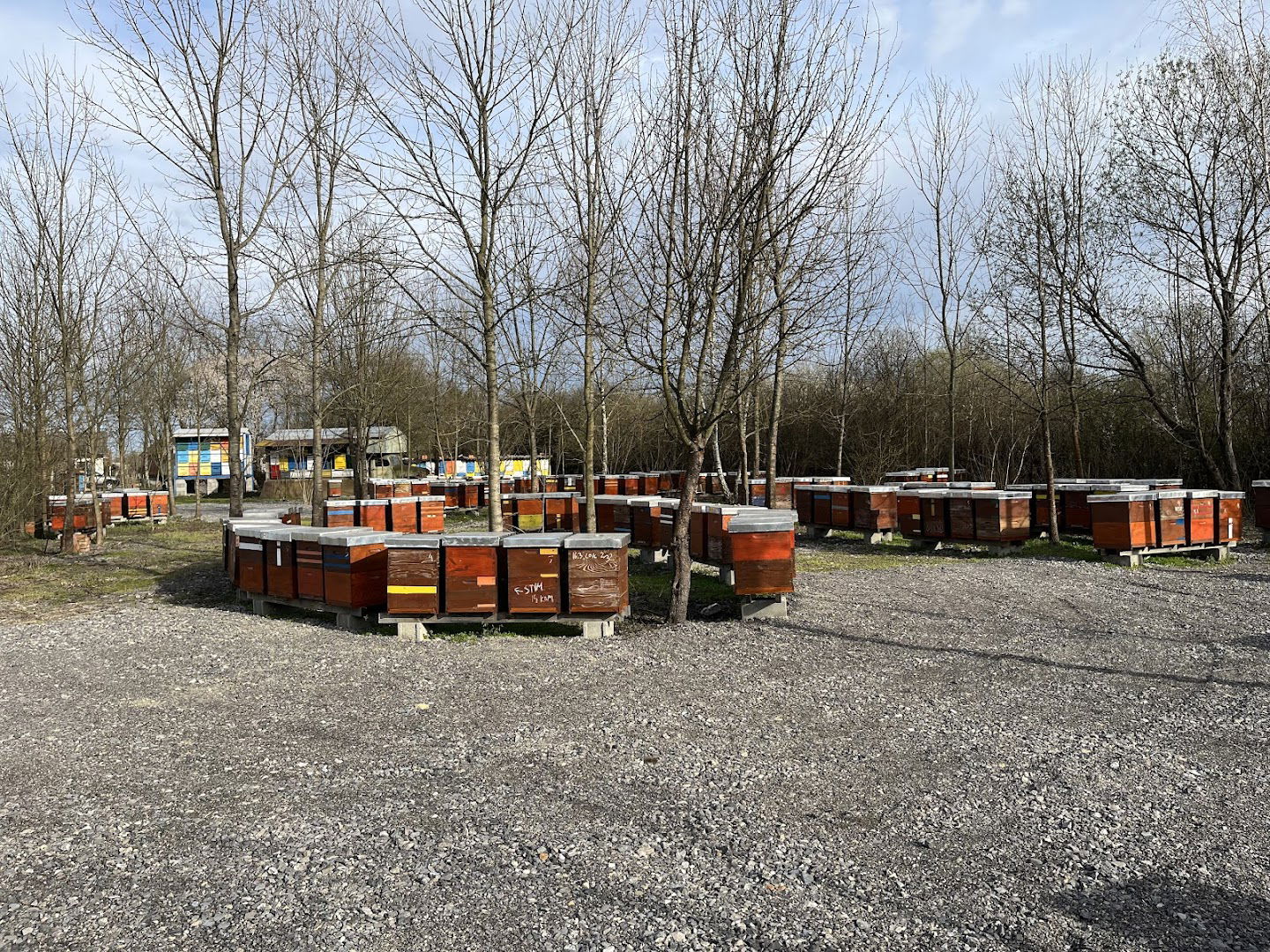 OPG Pčelarstvo Miroslav Antolčić-antolcic med