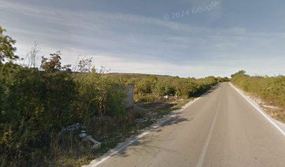 KORUŠCE MAROVIĆI 2